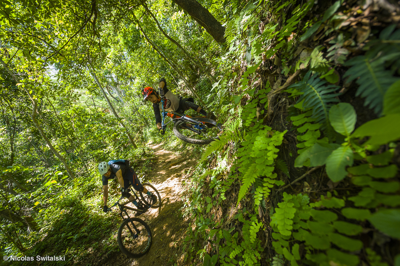 Photo Epic Riding Mexico s high mountain coffee trails
