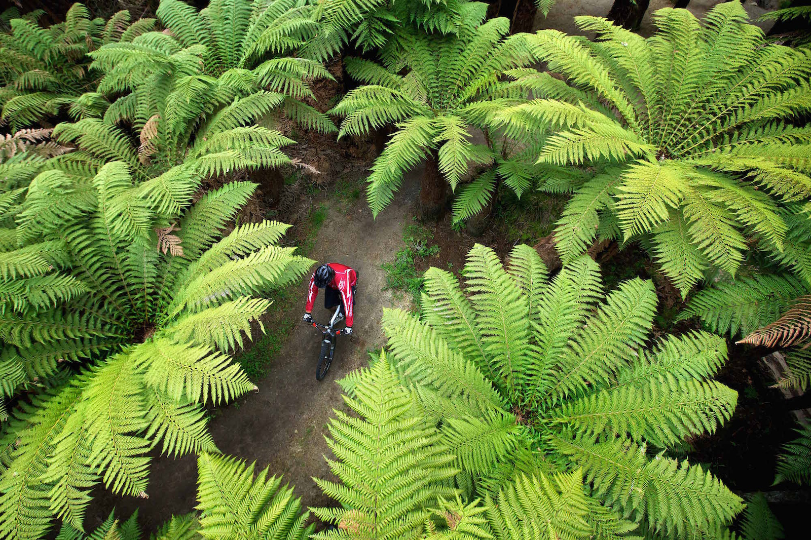 Puarenga Trail runs alongside the stream of the same name. In Maori it means 'flowers of sulphur' named after the sulphur particles floating on the surface.
Rotorua is famous for its magical geothermal landscape, not just MTB.
Photo: Graeme Murray (www.graememurray.com)