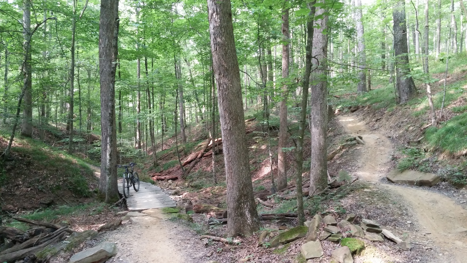 Bridge and Switchback on Green Valley Trail in Brown County.