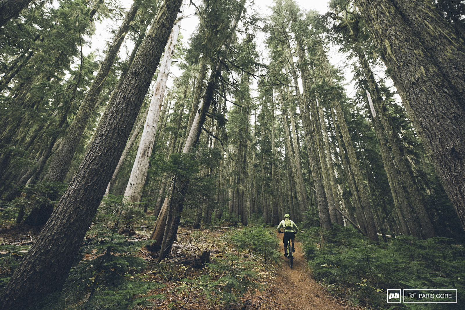Image from the Trans-Cascadia Enduro by Paris Gore.