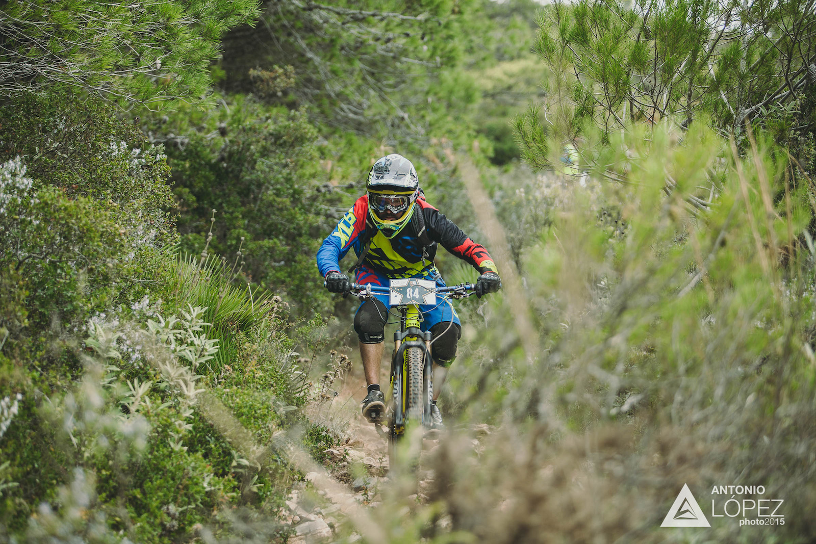 Mueller Marcos from Germany races down  stage 4 for during the practice for the 5th stop of the European Enduro Series at Malaga / Benalmadena, Spain, on October 17, 2015. Free image for editorial usage only: Photo by Antonio Lopez