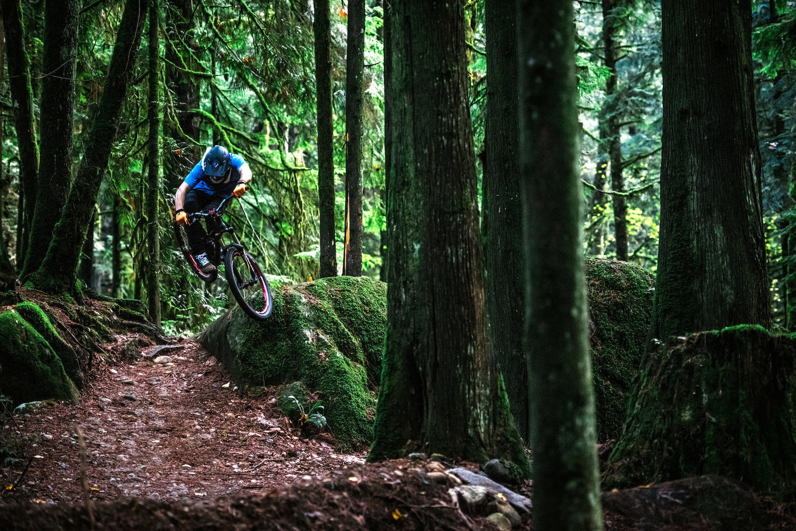 Contest: Who is Chester? - Pinkbike