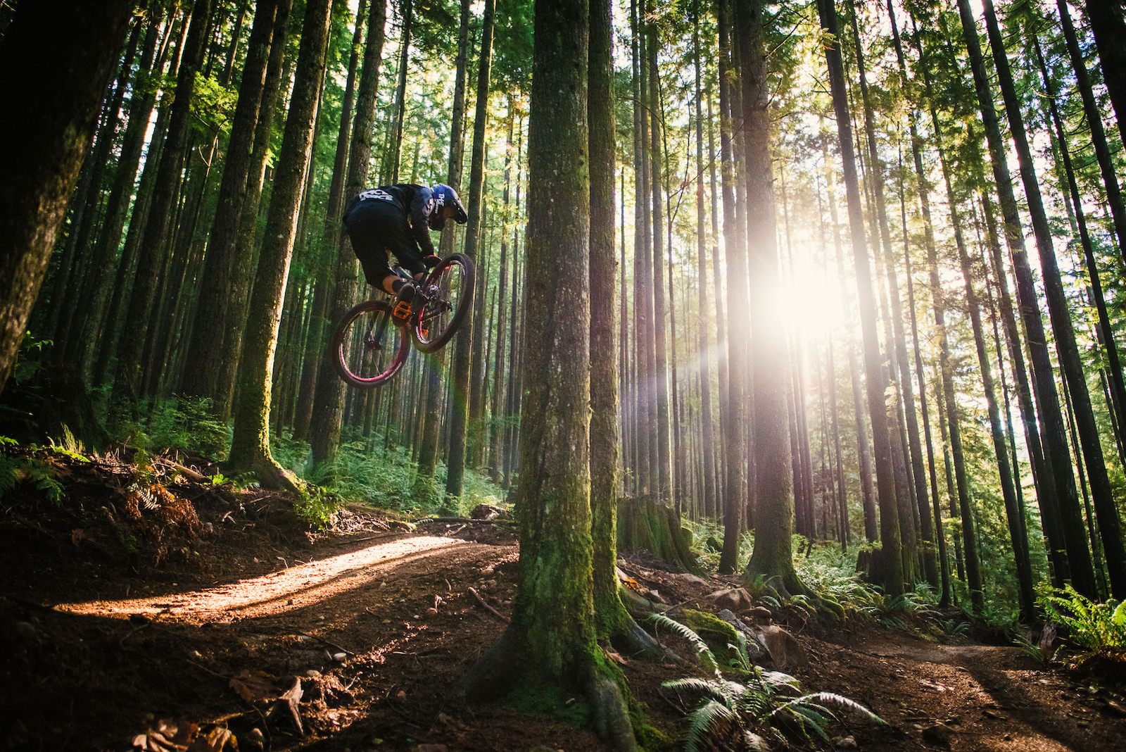 Contest: Who is Chester? - Pinkbike