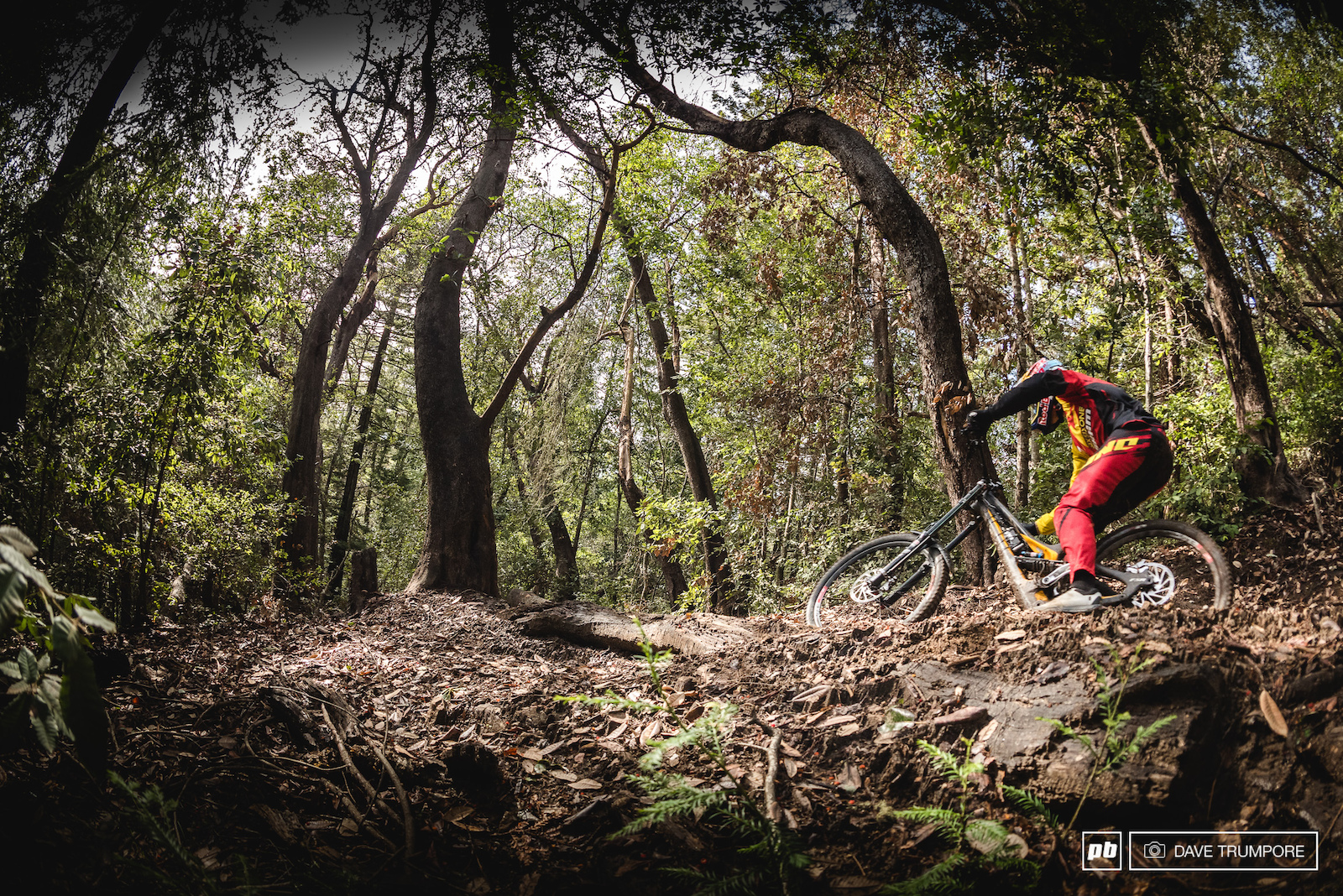 Specialized Gravity Team