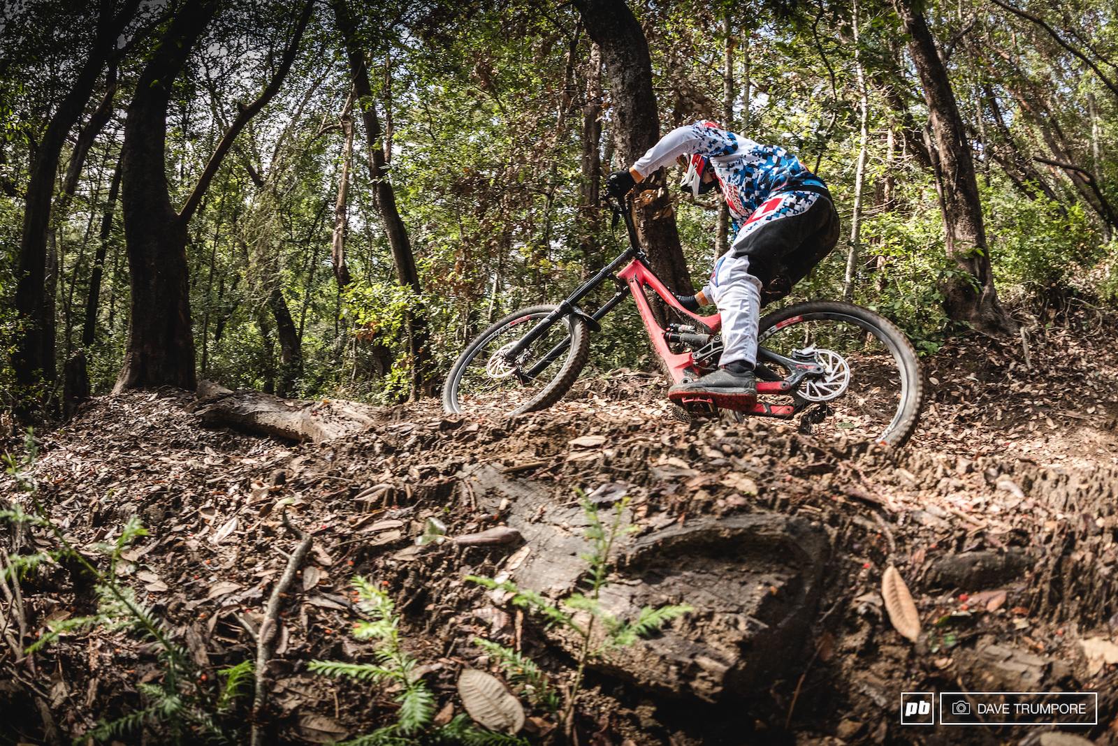 Specialized Gravity Team