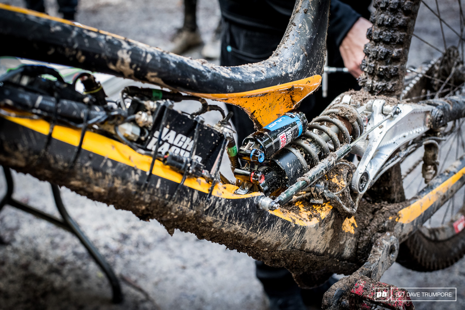 Specialized Gravity Team