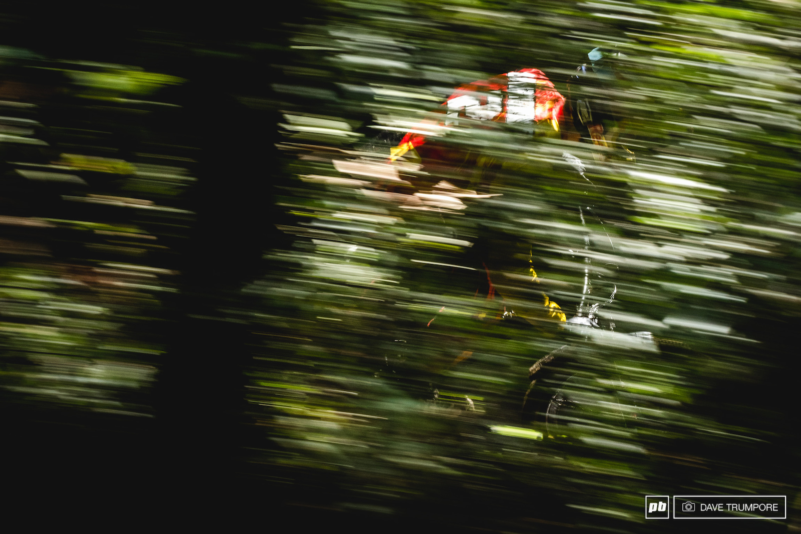 Specialized Gravity Team