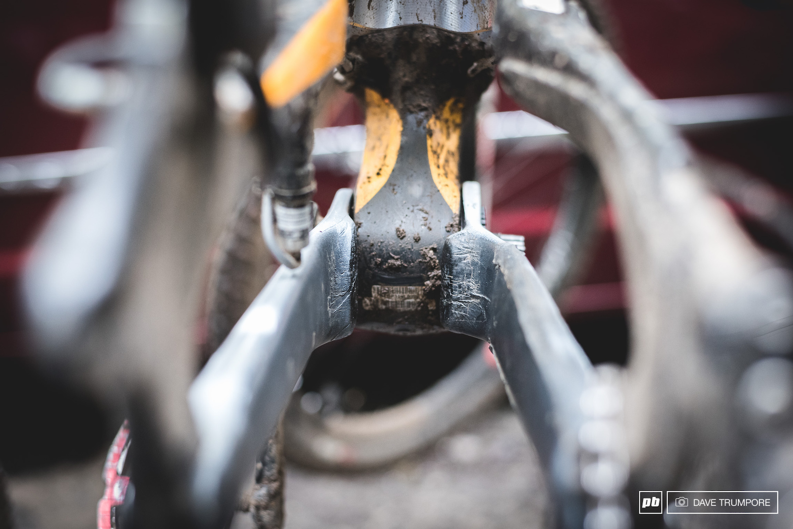 Specialized Gravity Team