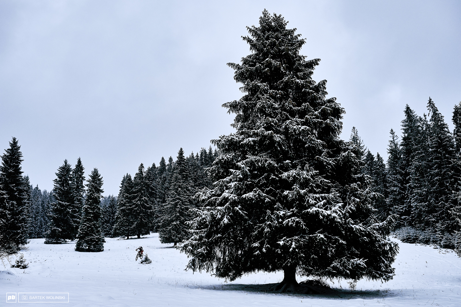 Winter is Here
