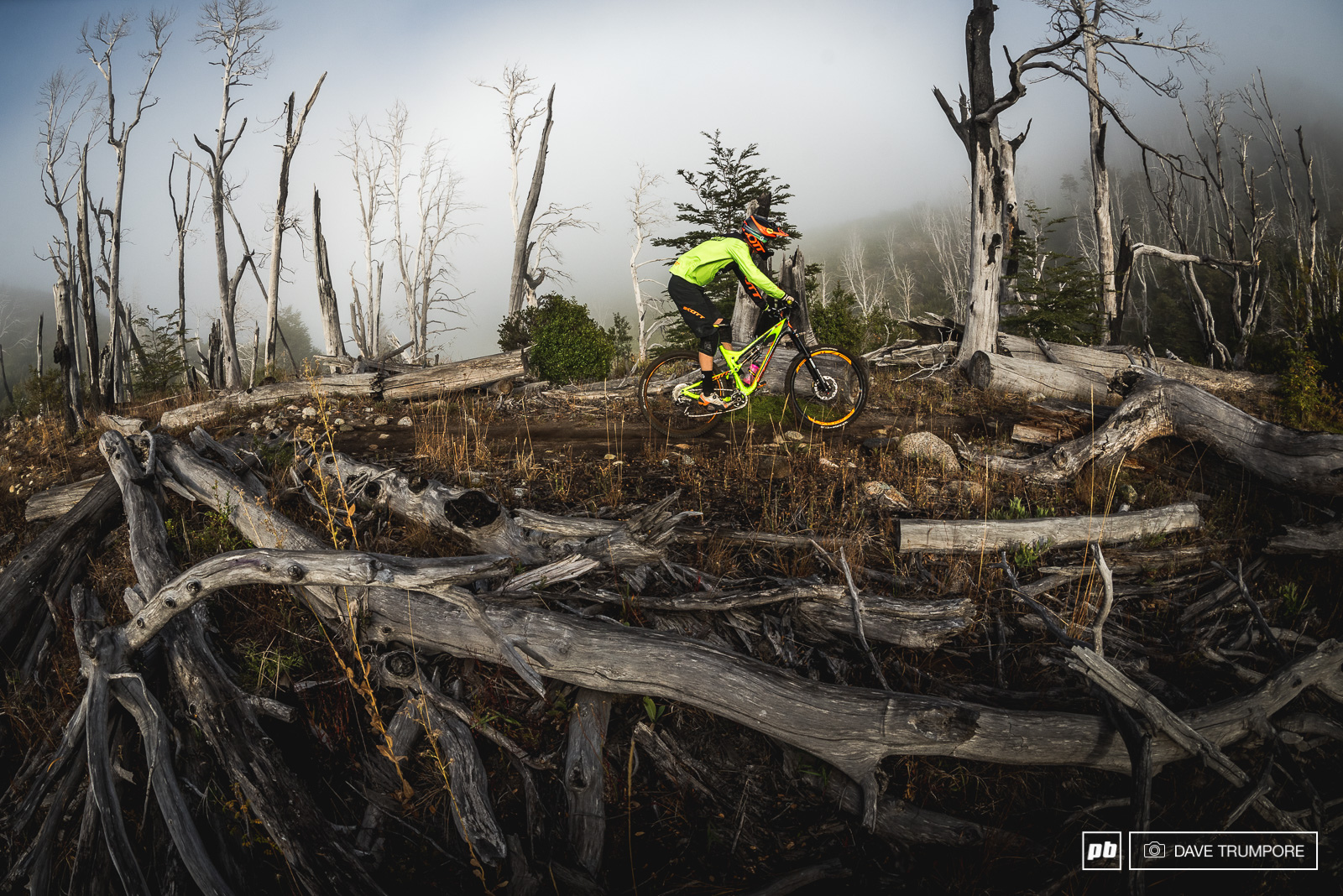 Remy Absalon threads his way through the dead tree forest on stage 5.