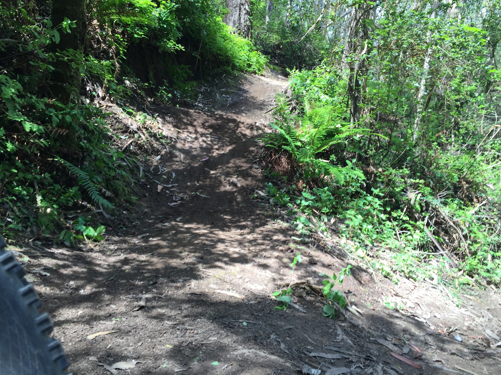 this is a step up jump in the middle of the trail that needed some tlc, the run in is pretty bumpy