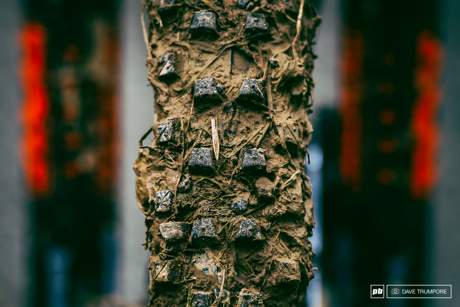 The conditions in Lourdes are simply delicious.