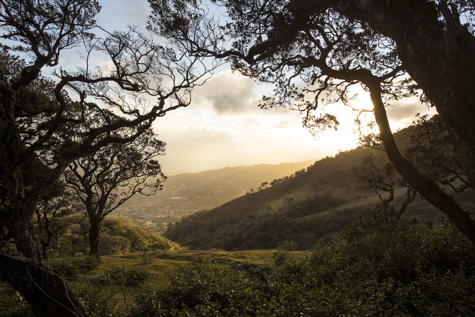 Costa Rica, the Ultimate Winter Escape Video Pinkbike