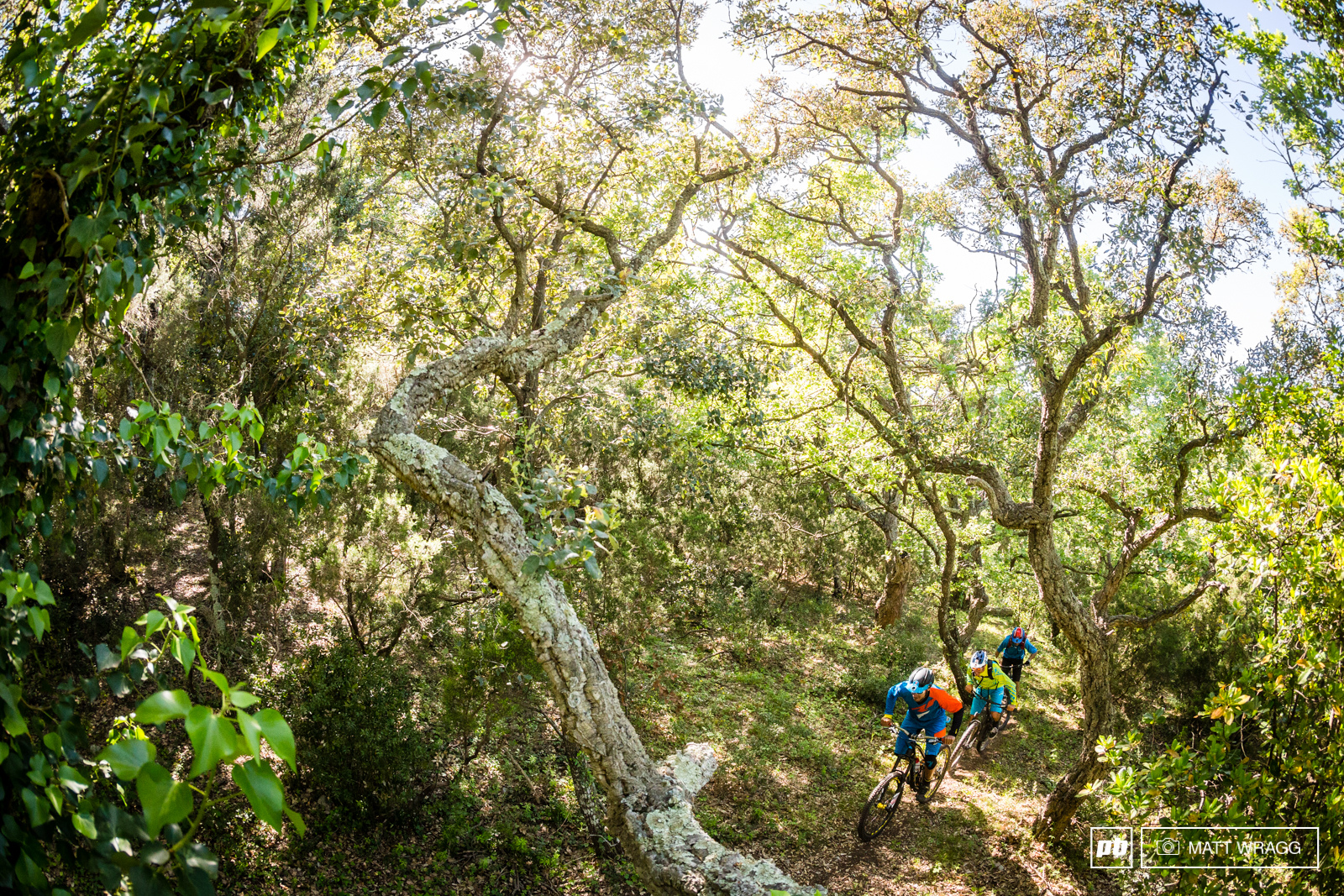 Urge HQ visit. Cogolin France. Photo by Matt Wragg.