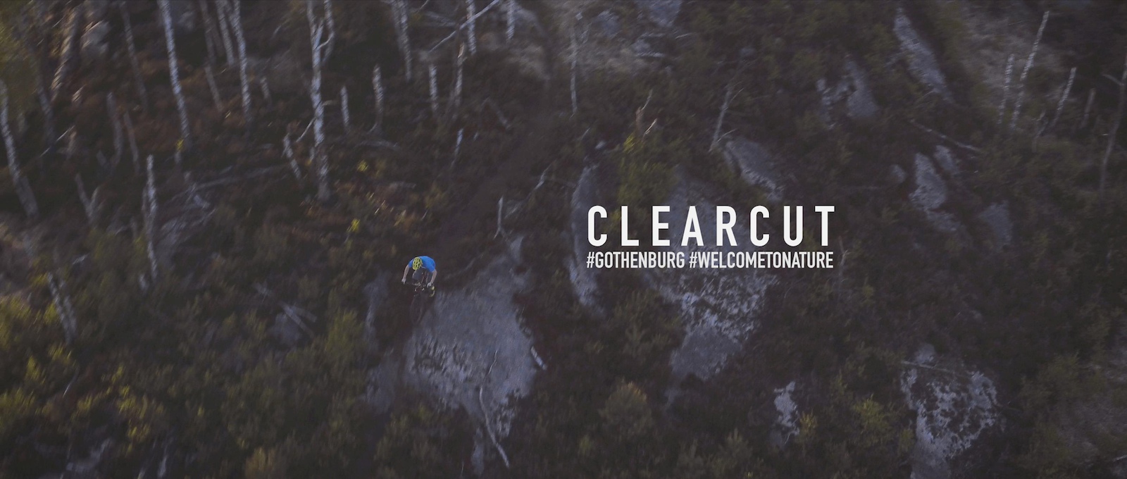 Clearcut logo