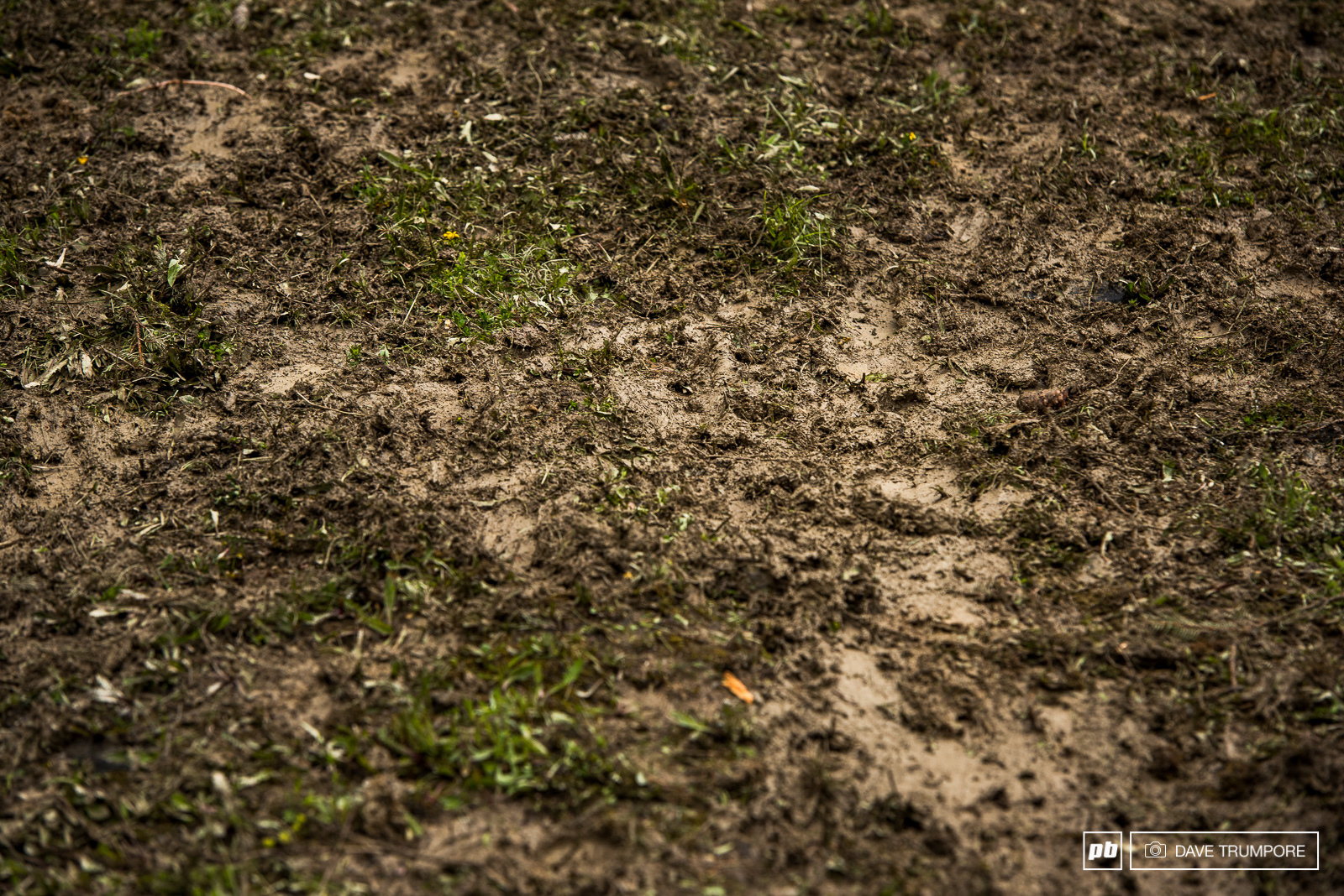 Ready to dirt. Текстура земли. Грунт текстура. Почва текстура. Земля с травой.