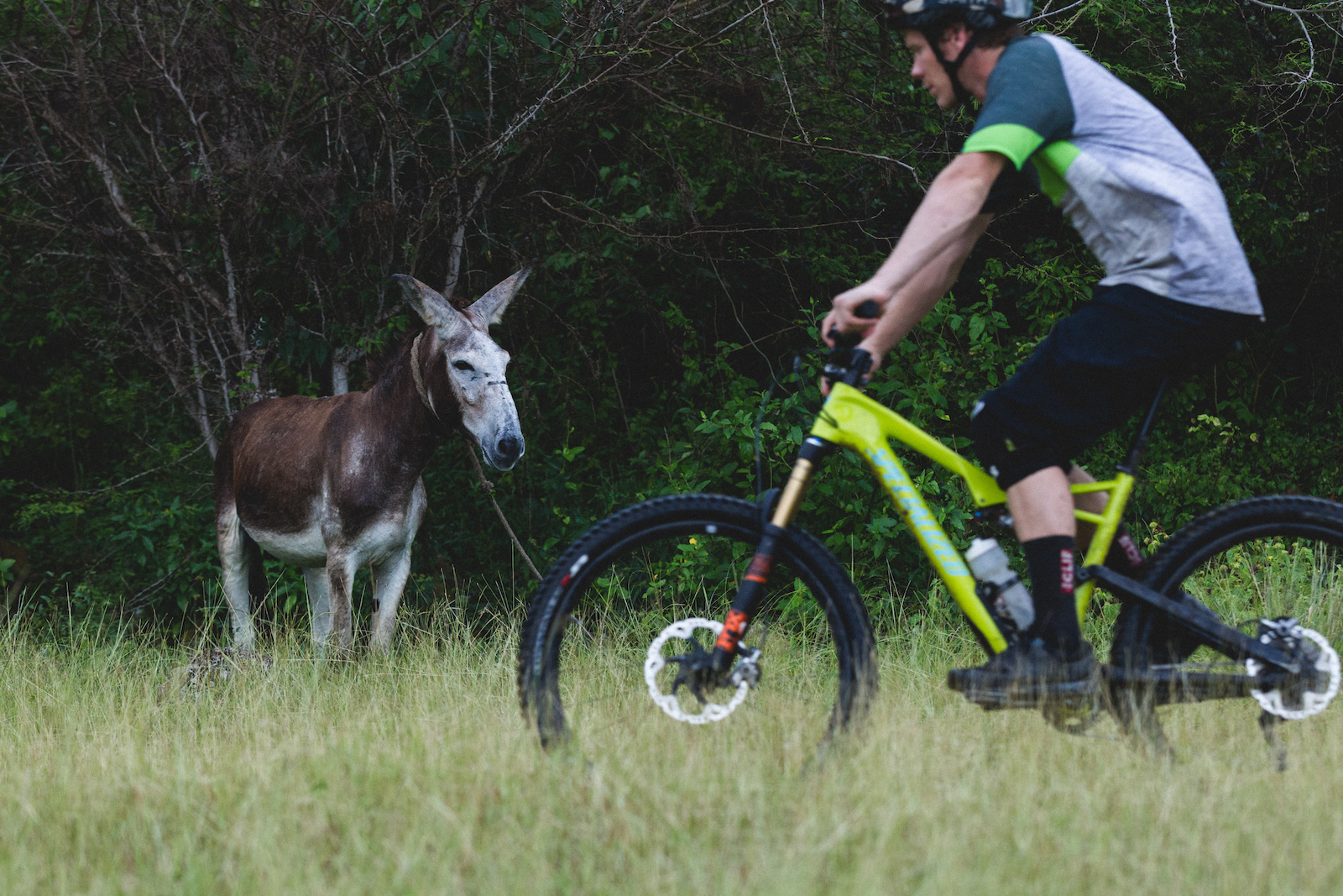 Trail hunter. Matt Hunter. Marcel Hunt MTB.