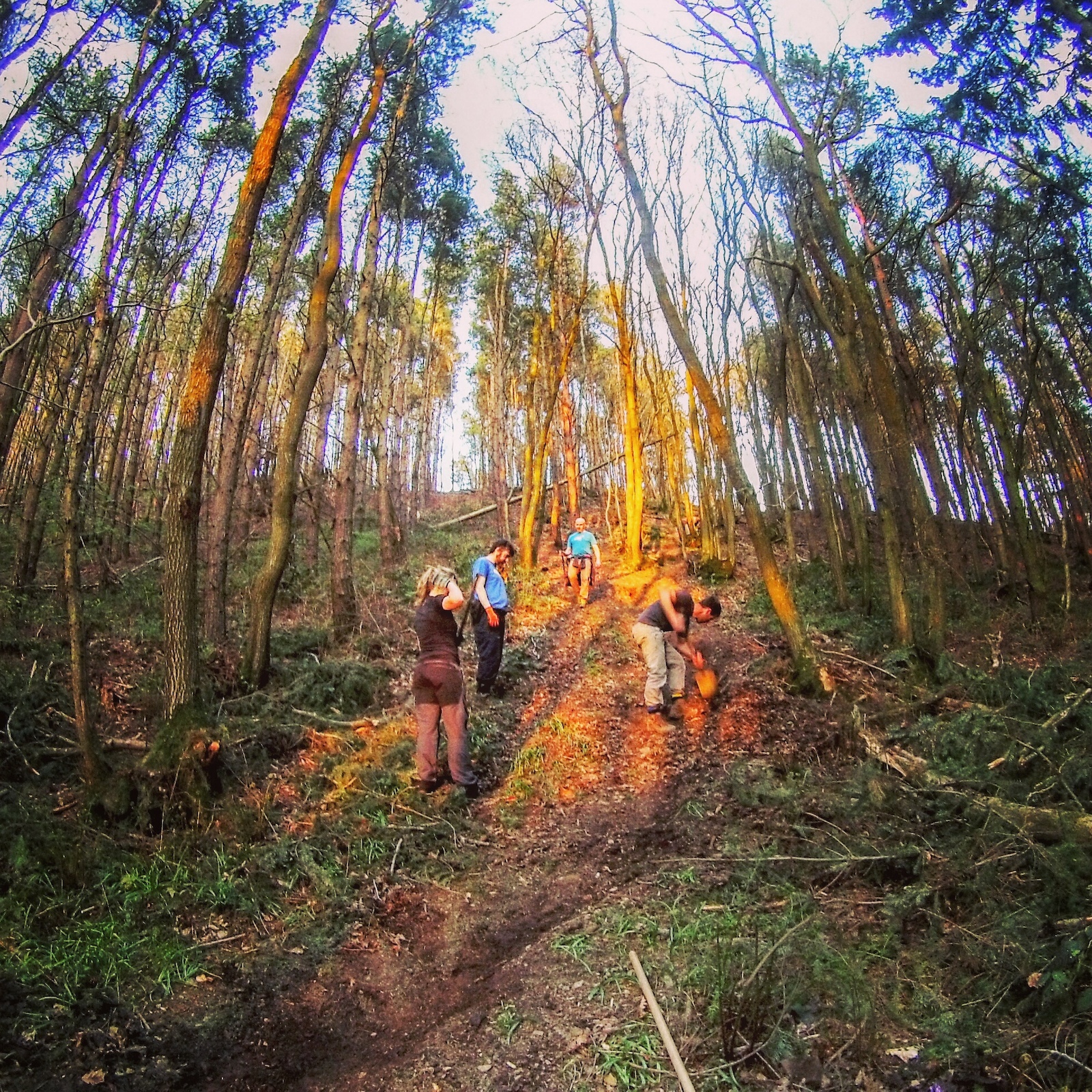 The Eastridge trail partnership maintaining the trails before the welsh gravity enduro.