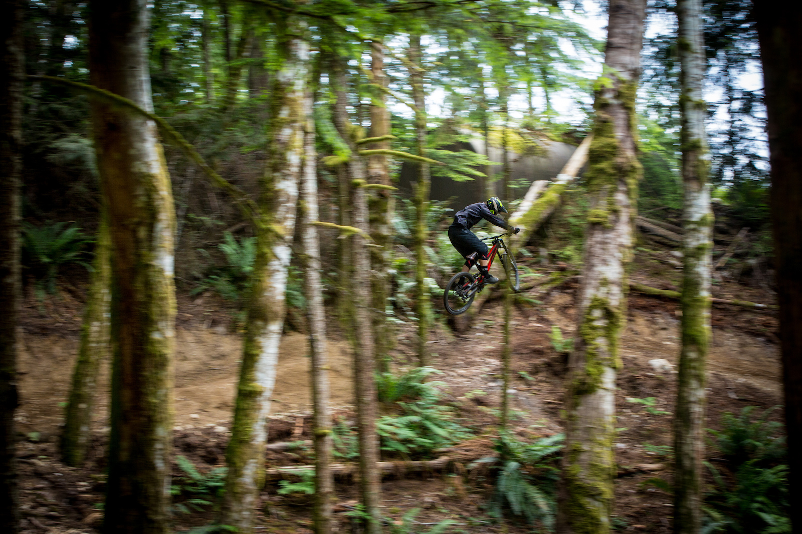 Sliver trail is a blur of good times