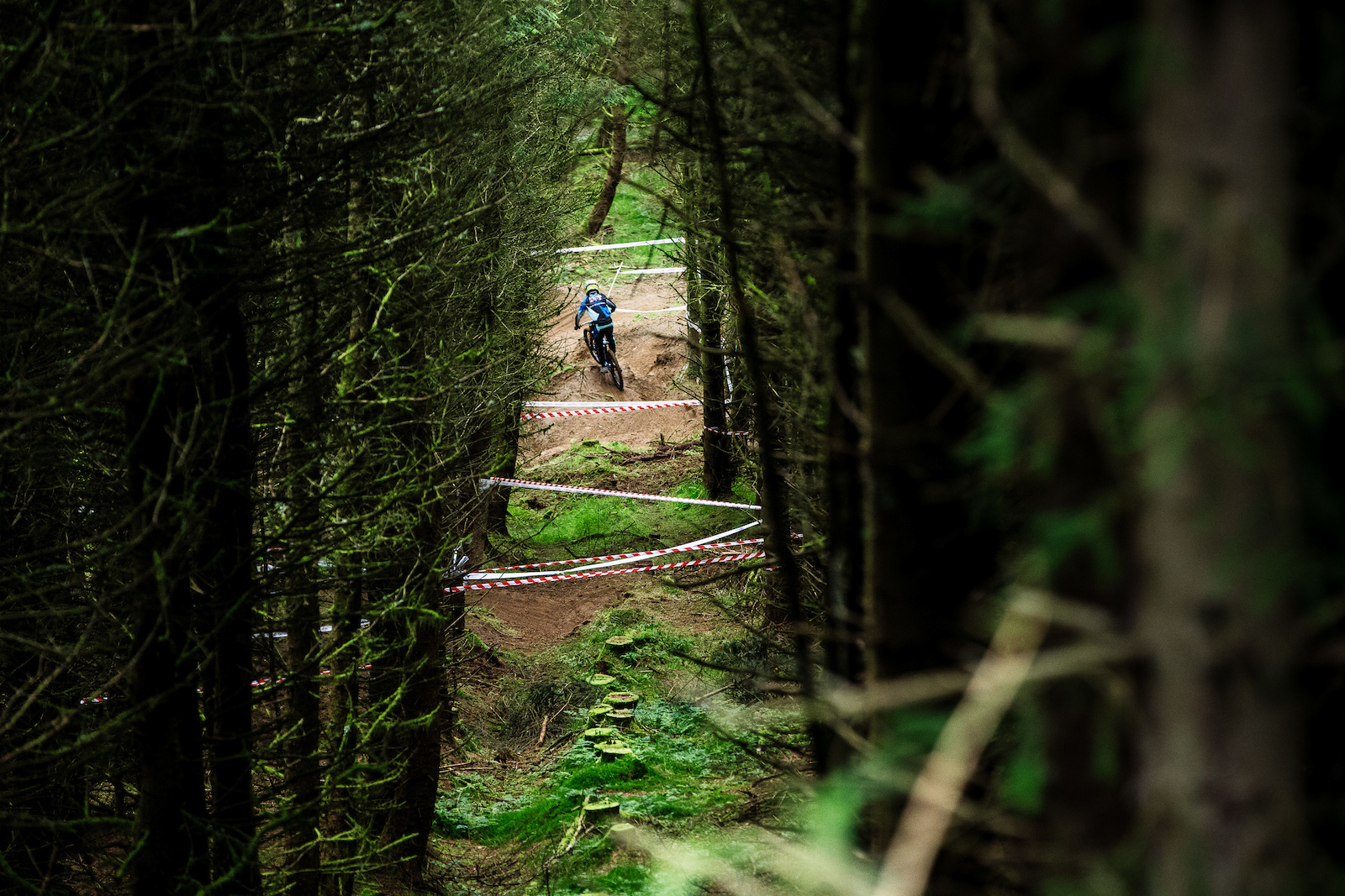 Danny Hart snaking his way through the trees of Revolution.