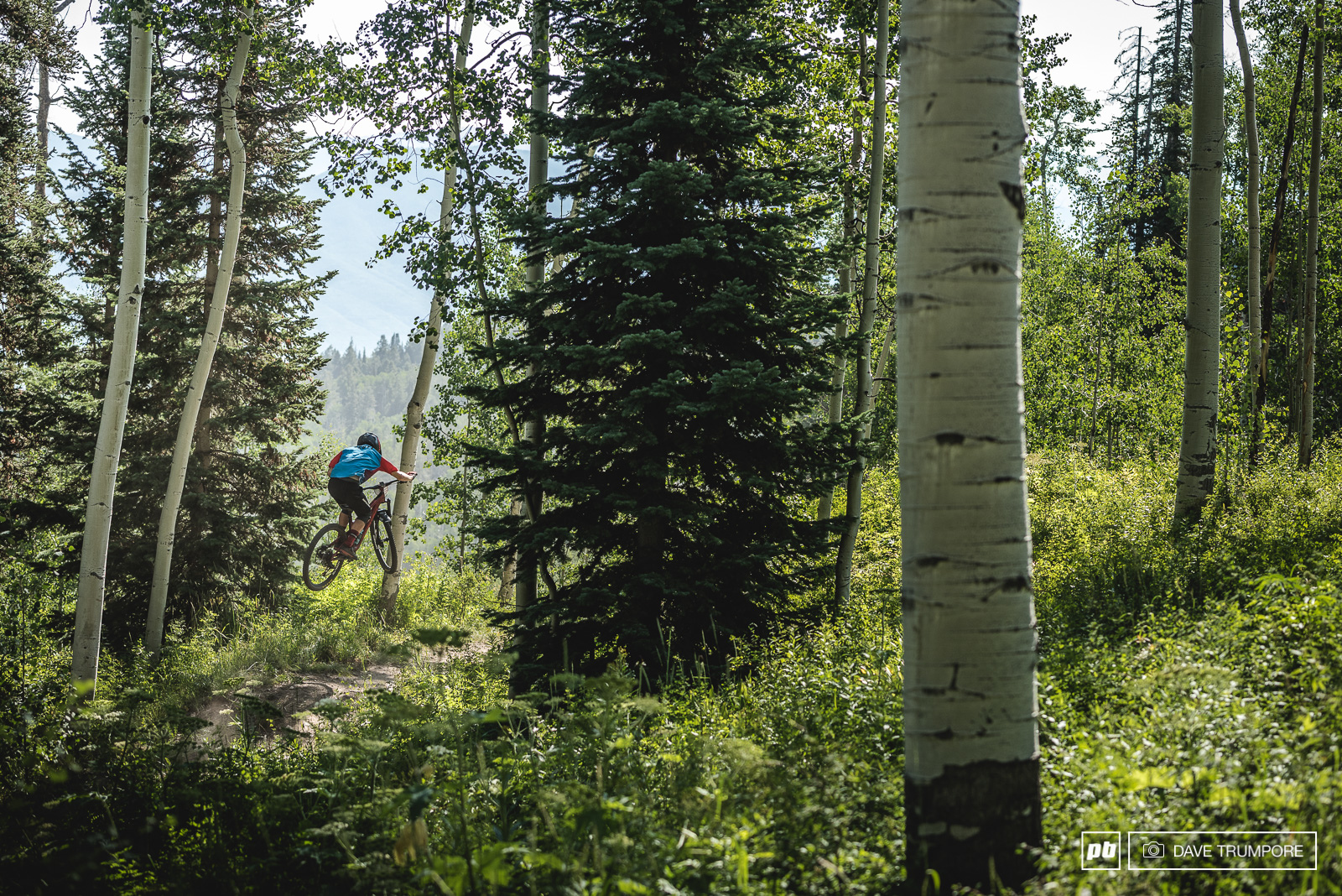 Mark Scott boosts one of few man-made features on stage 1. With the exception of the top half of stage 4 most of the stages here are on natural terrain this weekend.