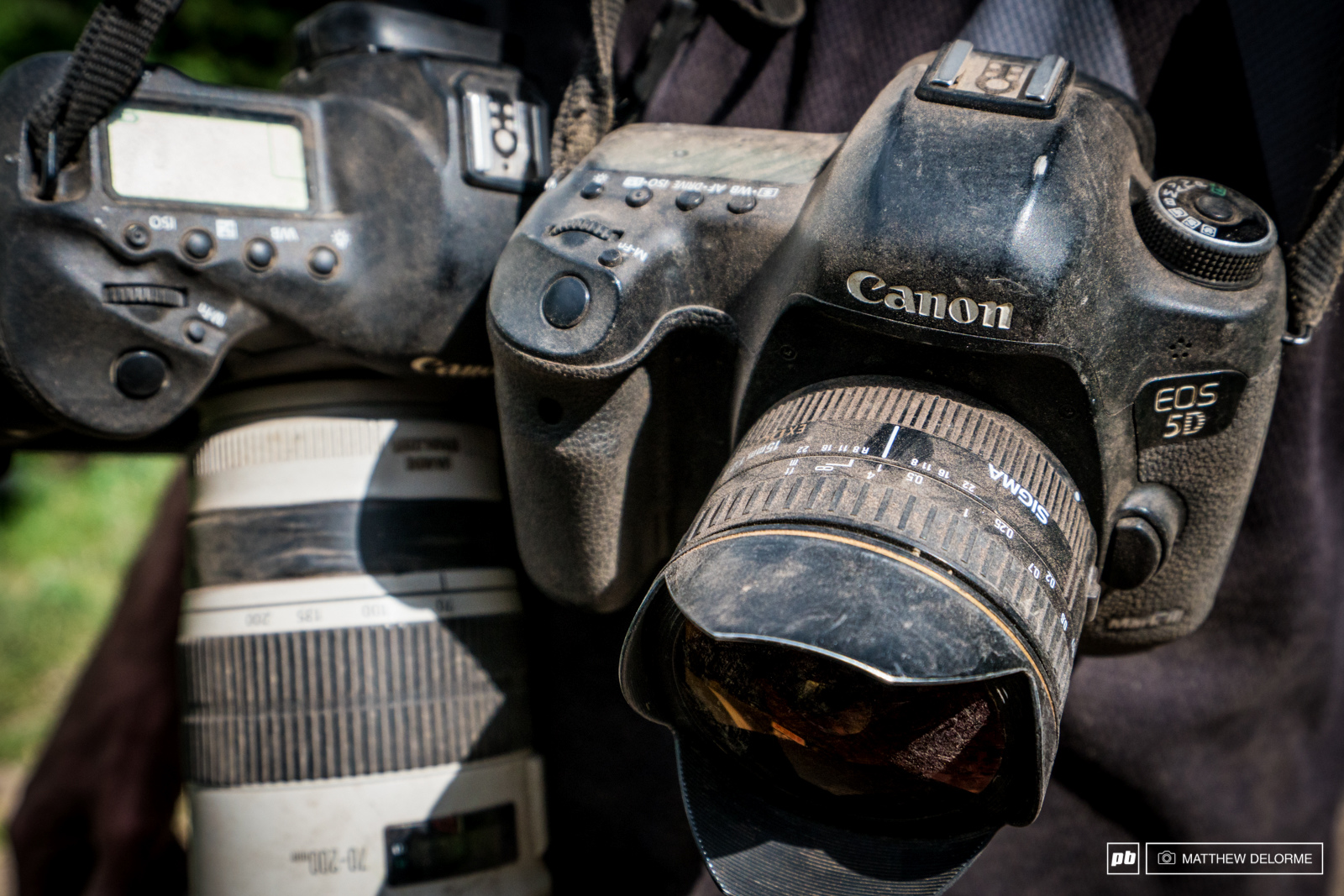 The dust isn t kind to camera gear.