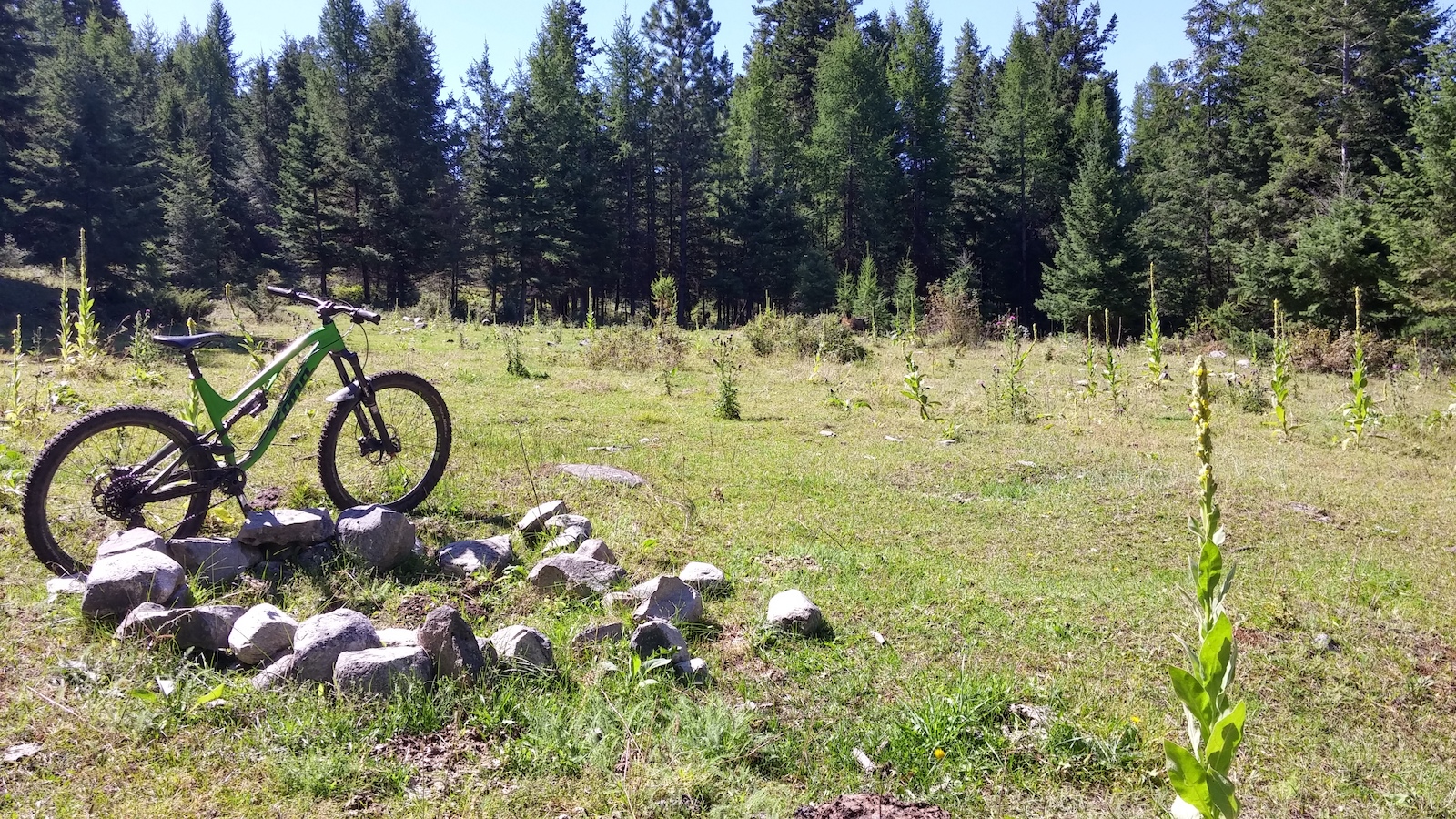 Holidays.  Bike Beer Beach Repeat.