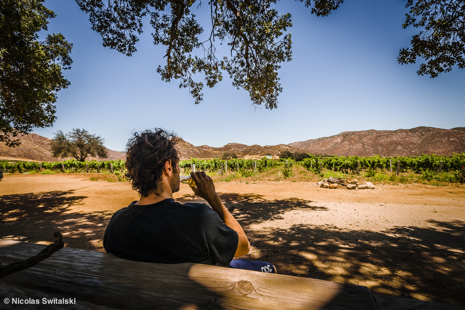 Chillin in Baja s Wine Region Valle de Guadalupe