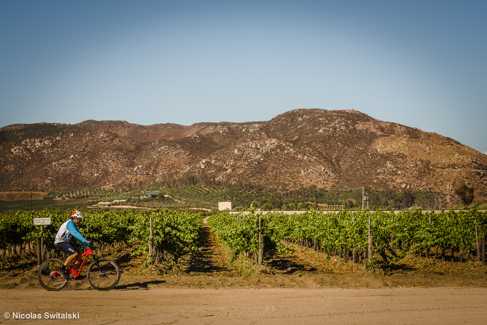 Chillin in Baja s Wine Region Valle de Guadalupe