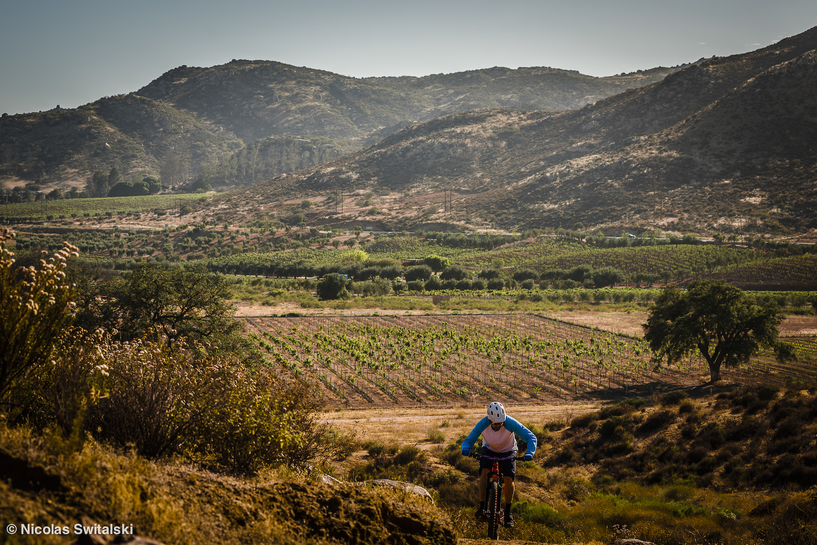 Chillin in Baja s Wine Region Valle de Guadalupe