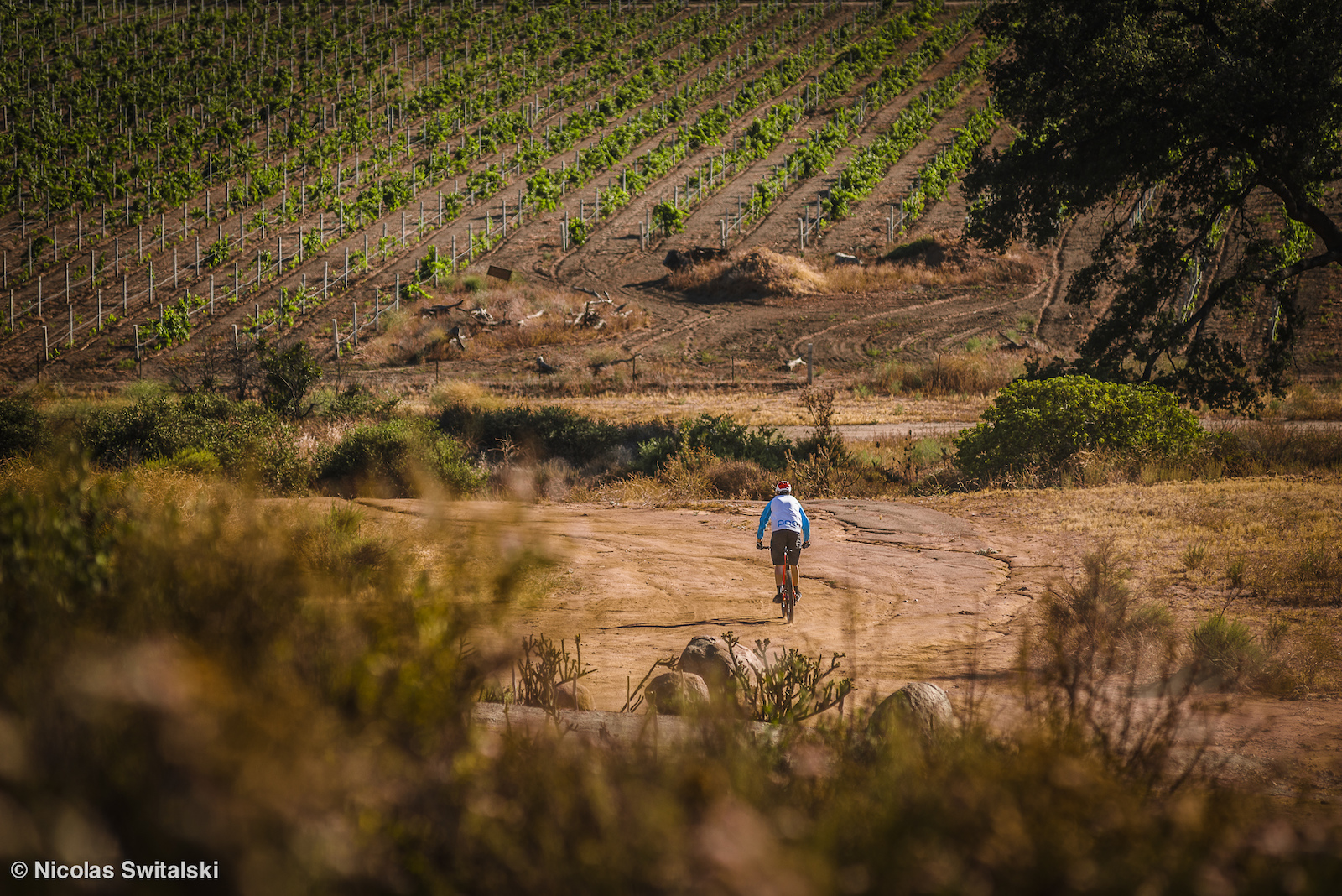 Chillin in Baja s Wine Region Valle de Guadalupe