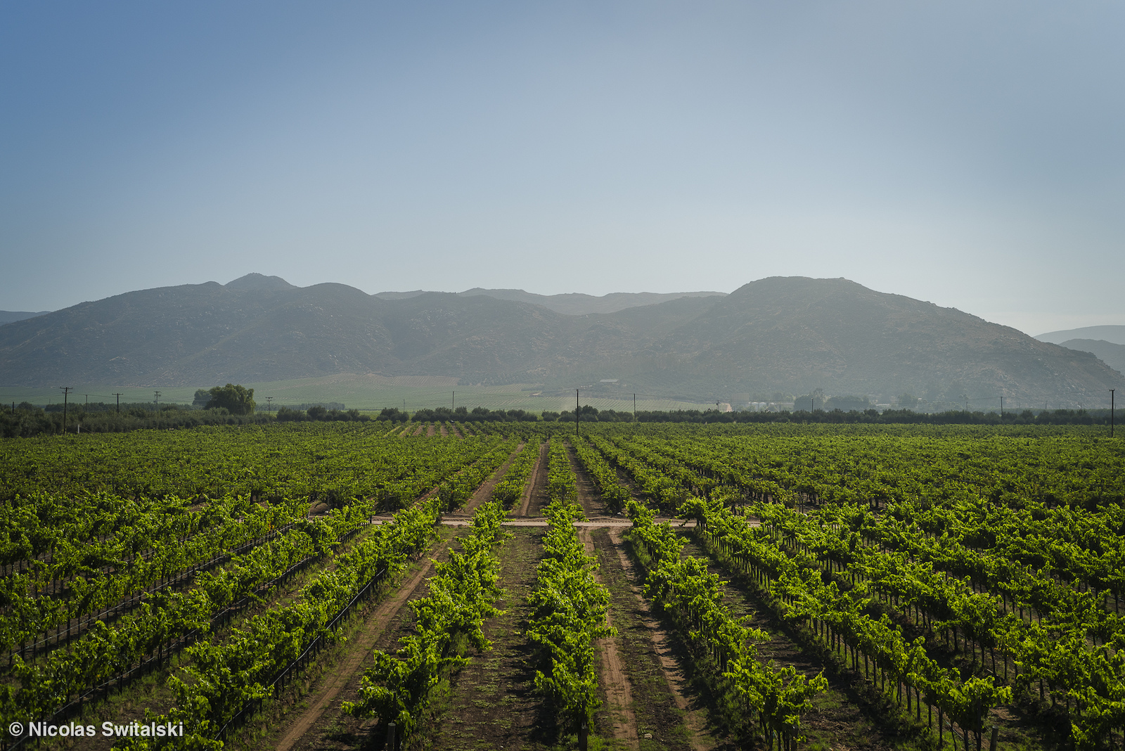 Chillin in Baja s Wine Region Valle de Guadalupe