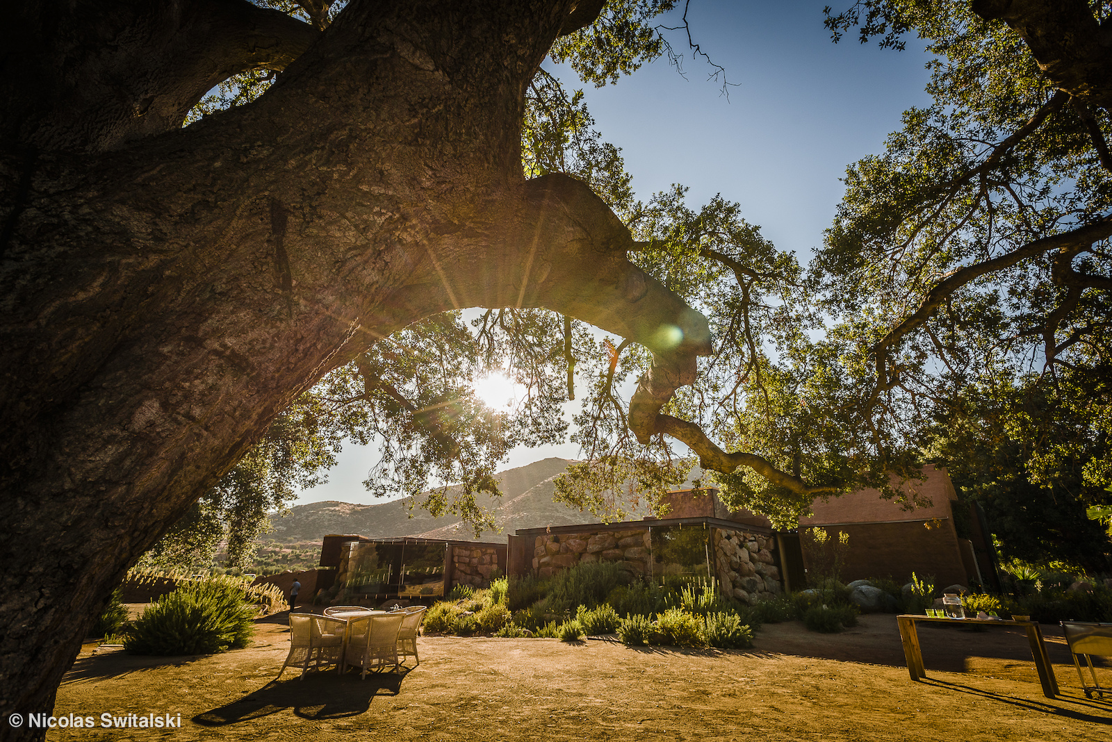 Chillin in Baja s Wine Region Valle de Guadalupe