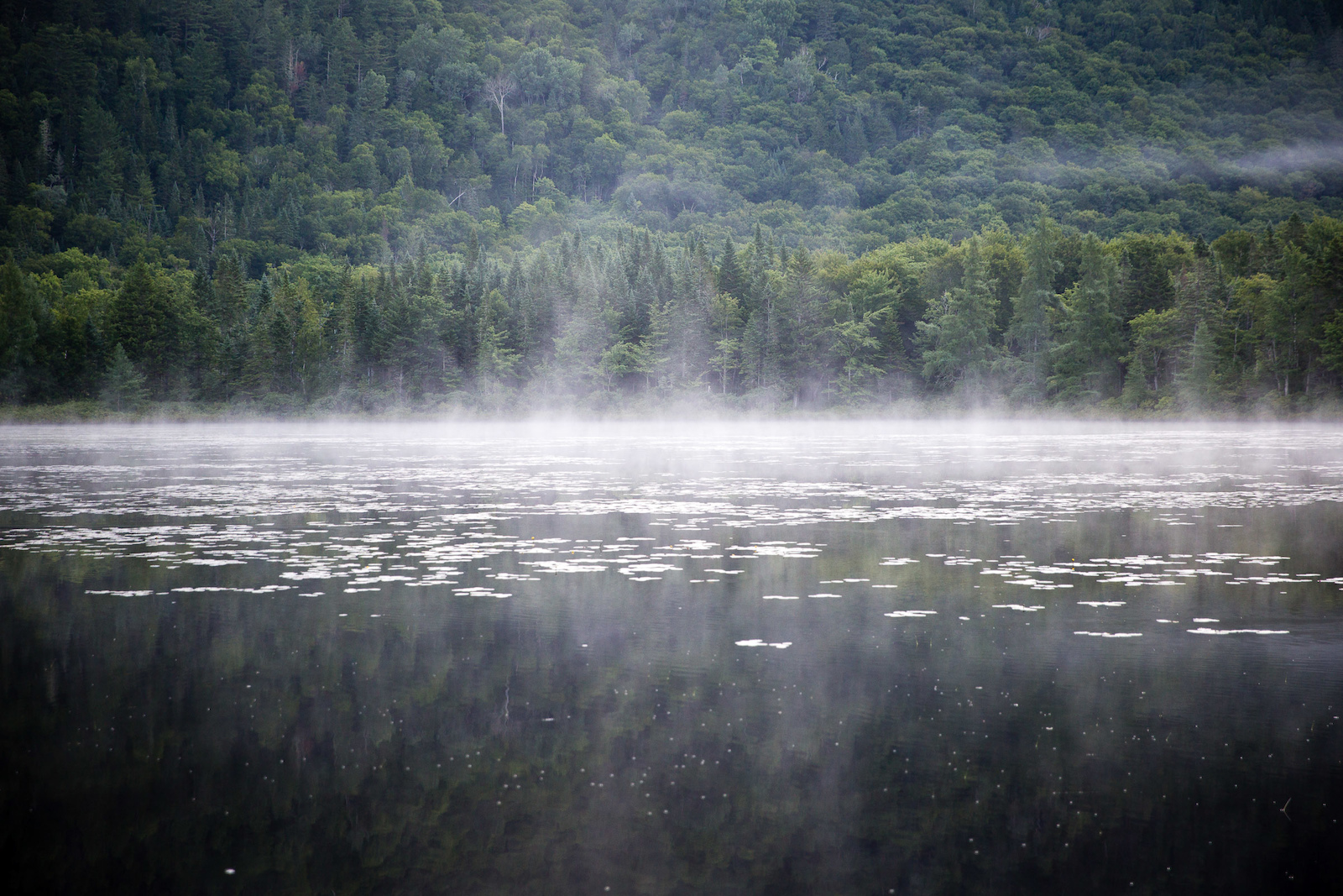 Morning lake mist. PHOTO Ben Gavelda