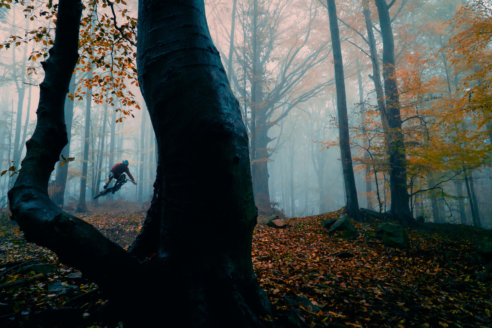 Shot this photo while filming our new video Wild Trails everyweekisawesome
