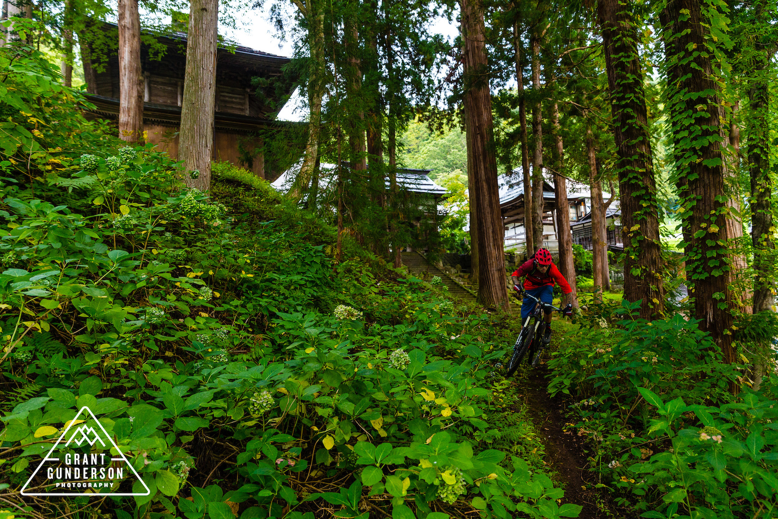 Geoff Gullivich mountain biking in Nozawa Onsen