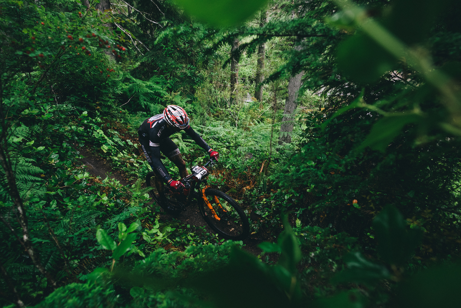 Stephen Ettinger finds himself in the jungle of British Columbia. Photo: Margus Riga