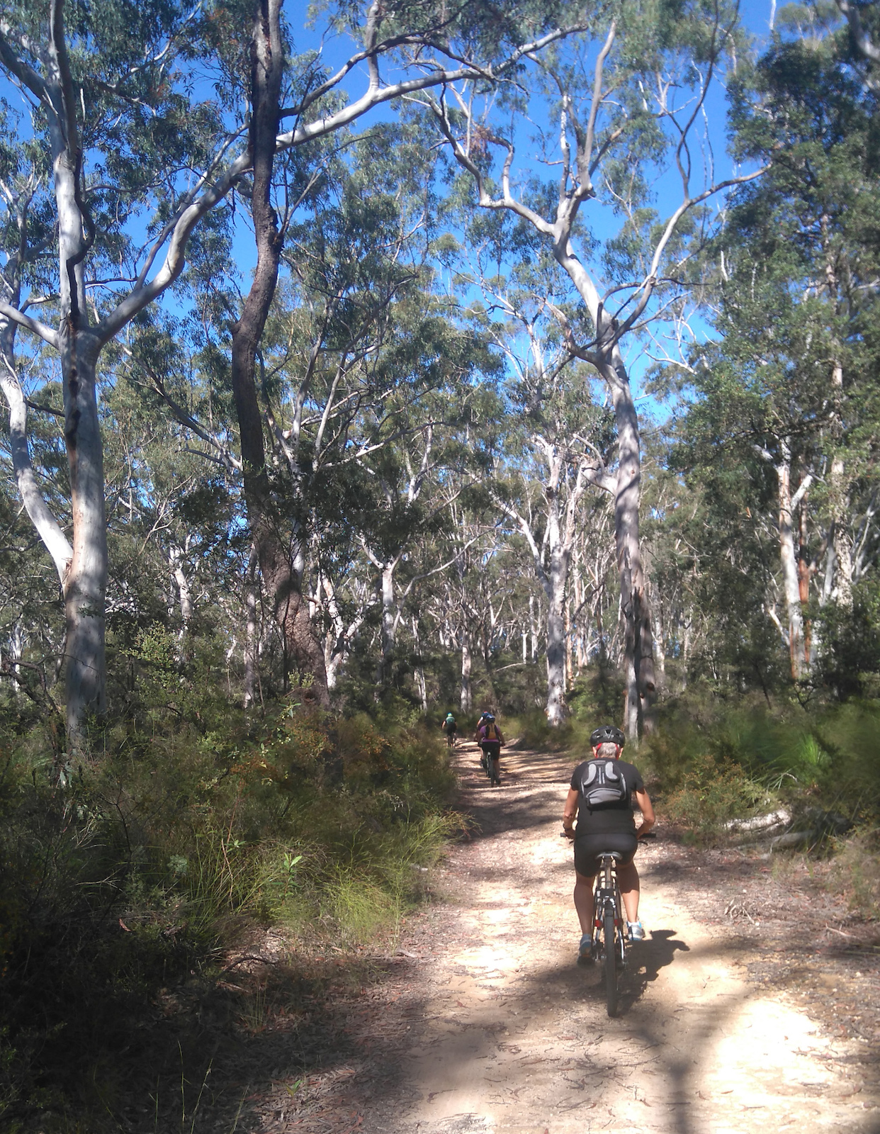 Mapleton National Park
