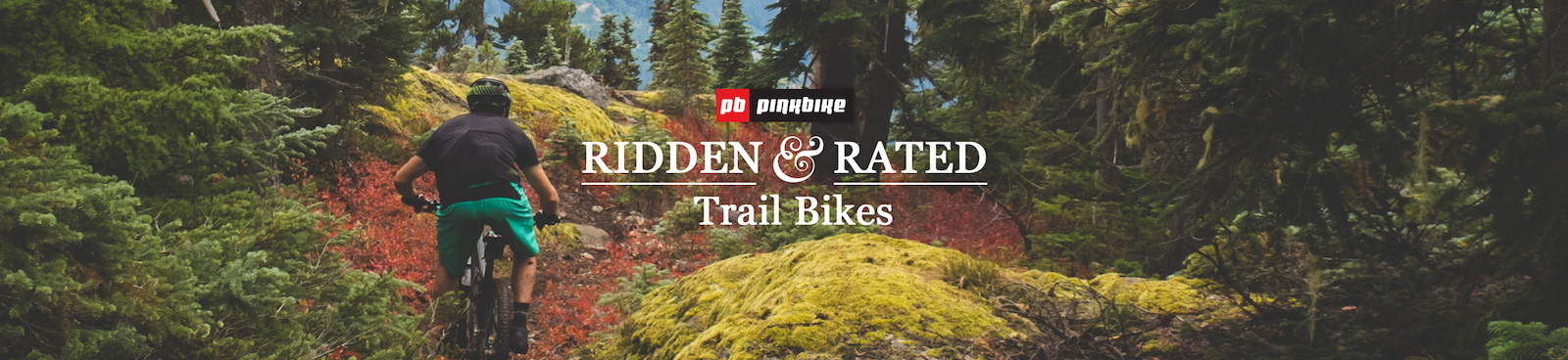 Ridden and Rated - 5 Trail Bikes - Pinkbike