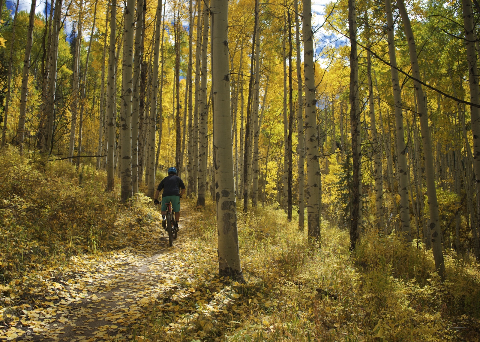 Approaching peak foliage