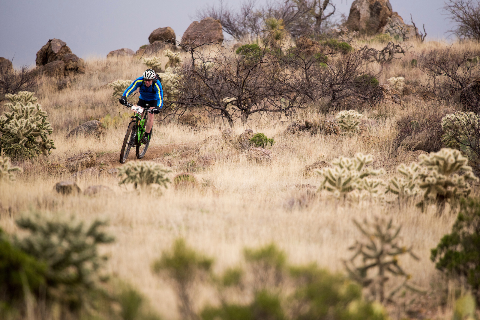 24 hours in the old pueblo