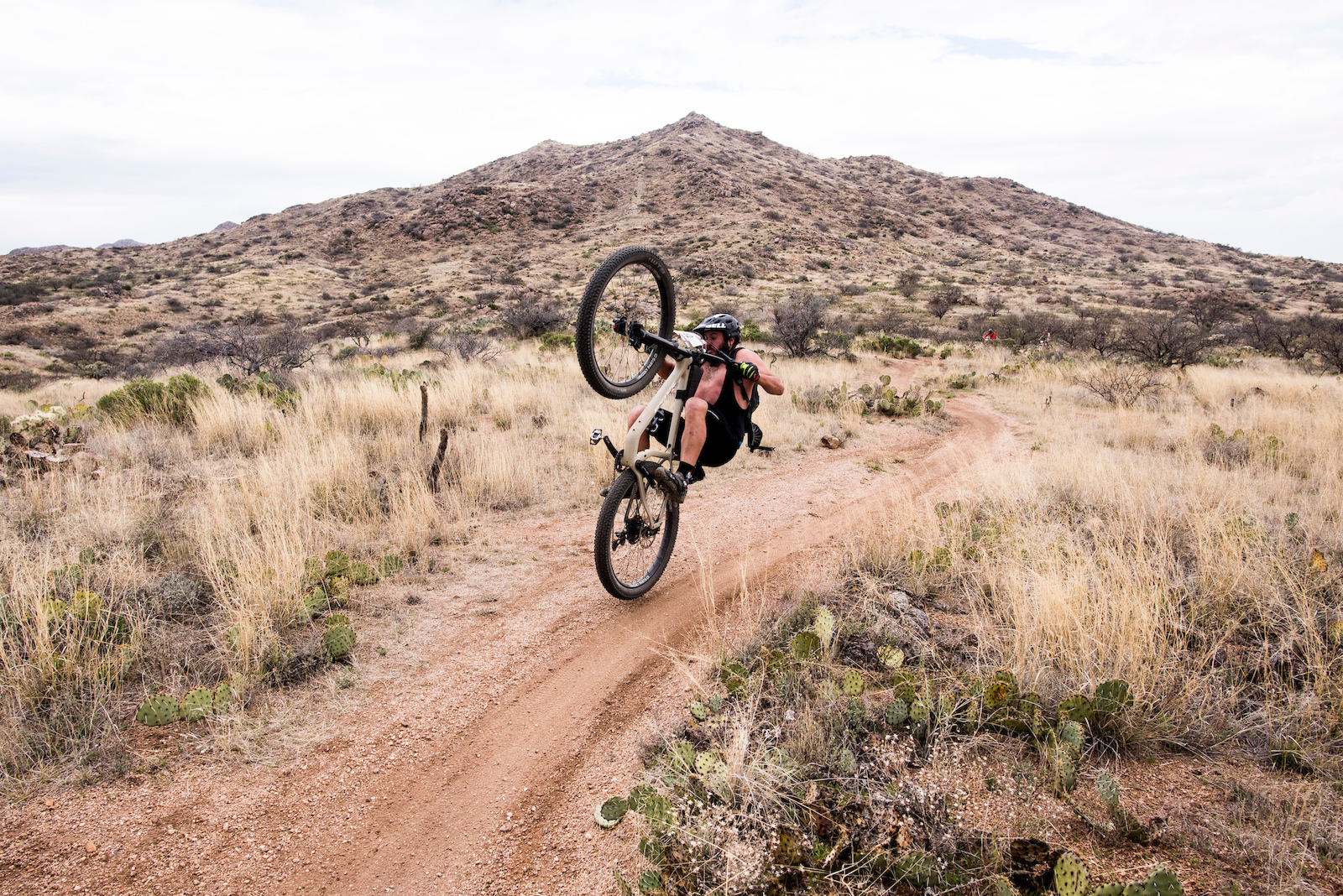24 hours in the old pueblo