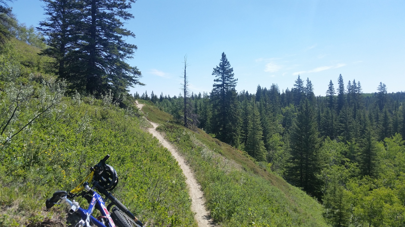 Took a long lunch for a quick ride. June 2016