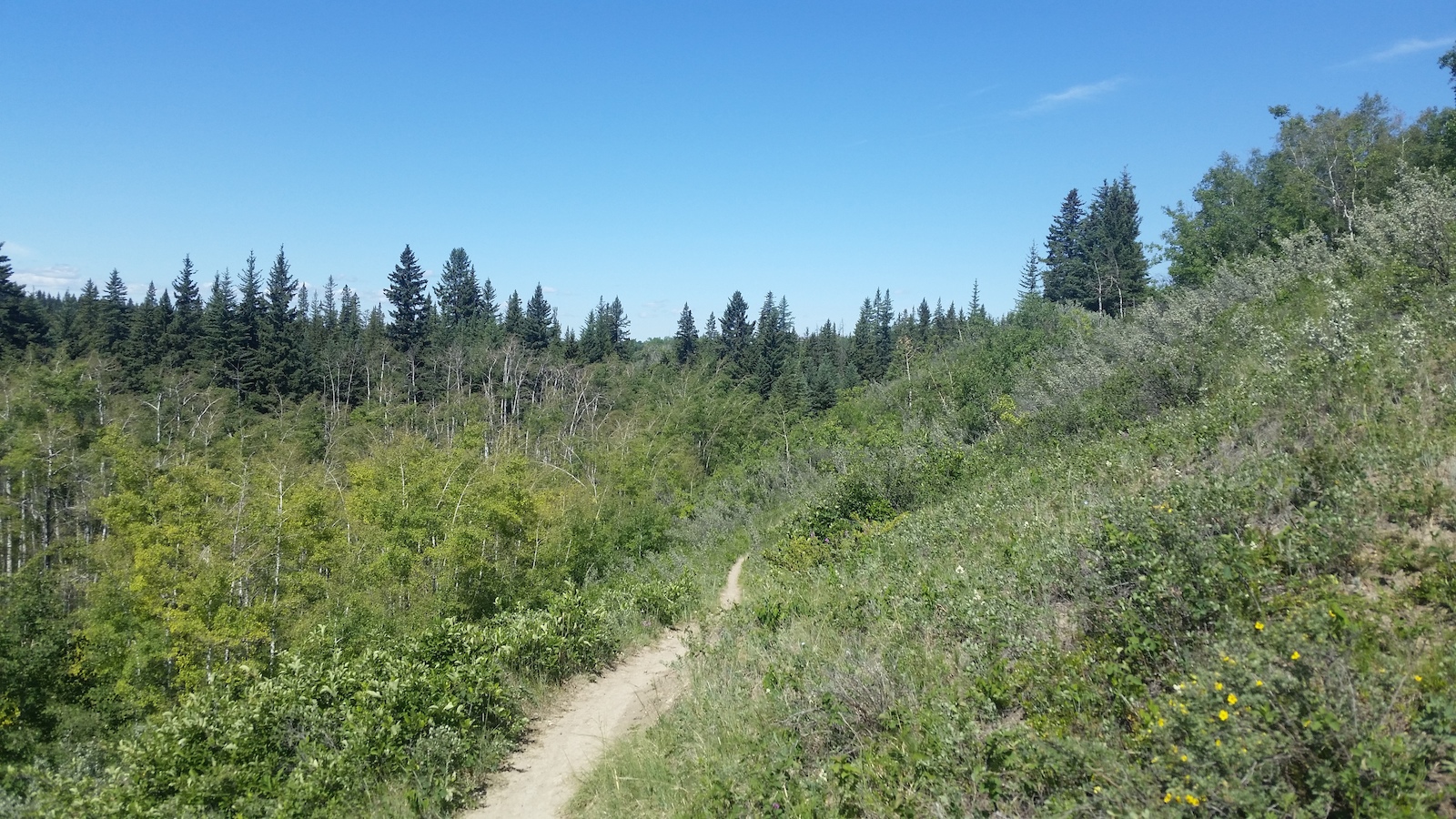 Took a long lunch for a quick ride. June 2016