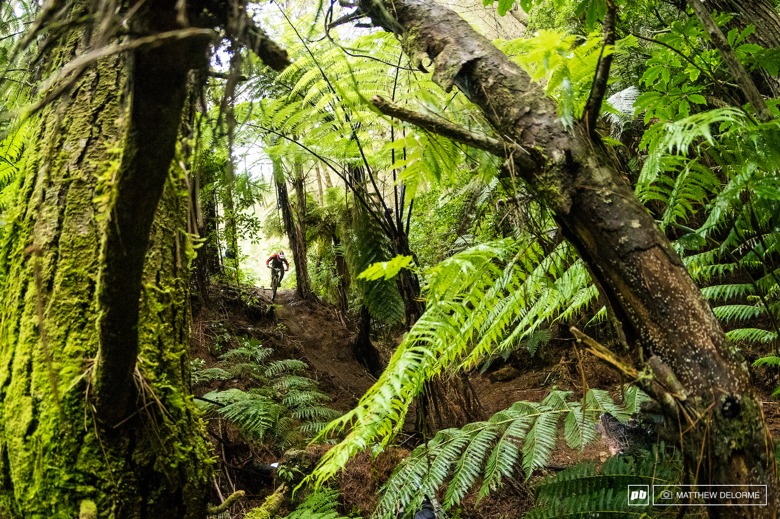 Race Day EWS Round 1: Photo Epic - Crankworx Rotorua 2017 - Pinkbike