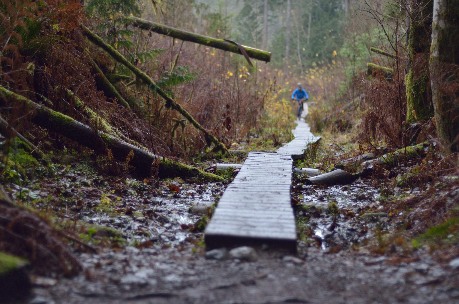 Photo taken by Jonas Nygårds on Tracks from Hell in the Alice Lake Area.