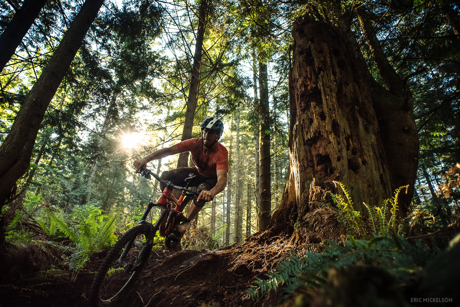 Early morning rip with Trim on the trail he built.