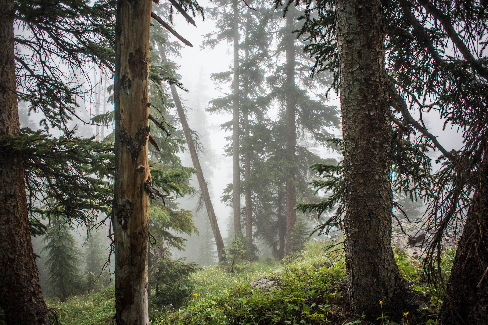 High Altitude Lines. A Yeti Tribe Story - Video - Pinkbike