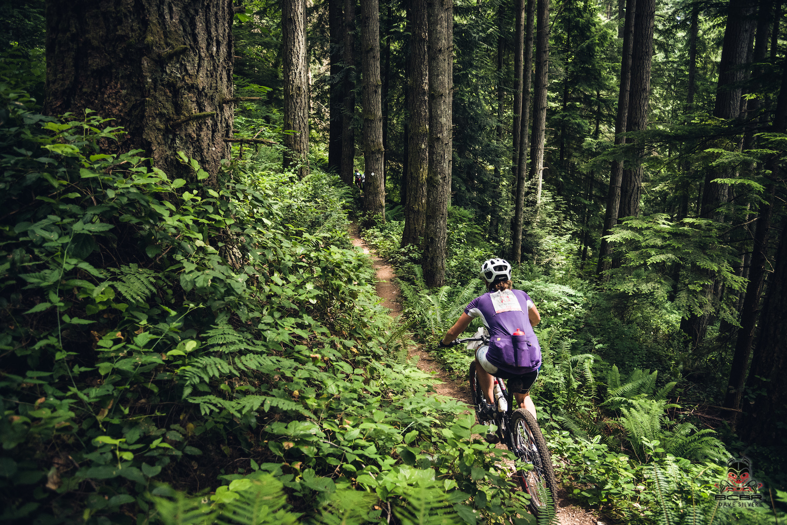 Looking for singletrack? The trails around Sechelt have it in abundance. Come her and get tickled by the foliage.