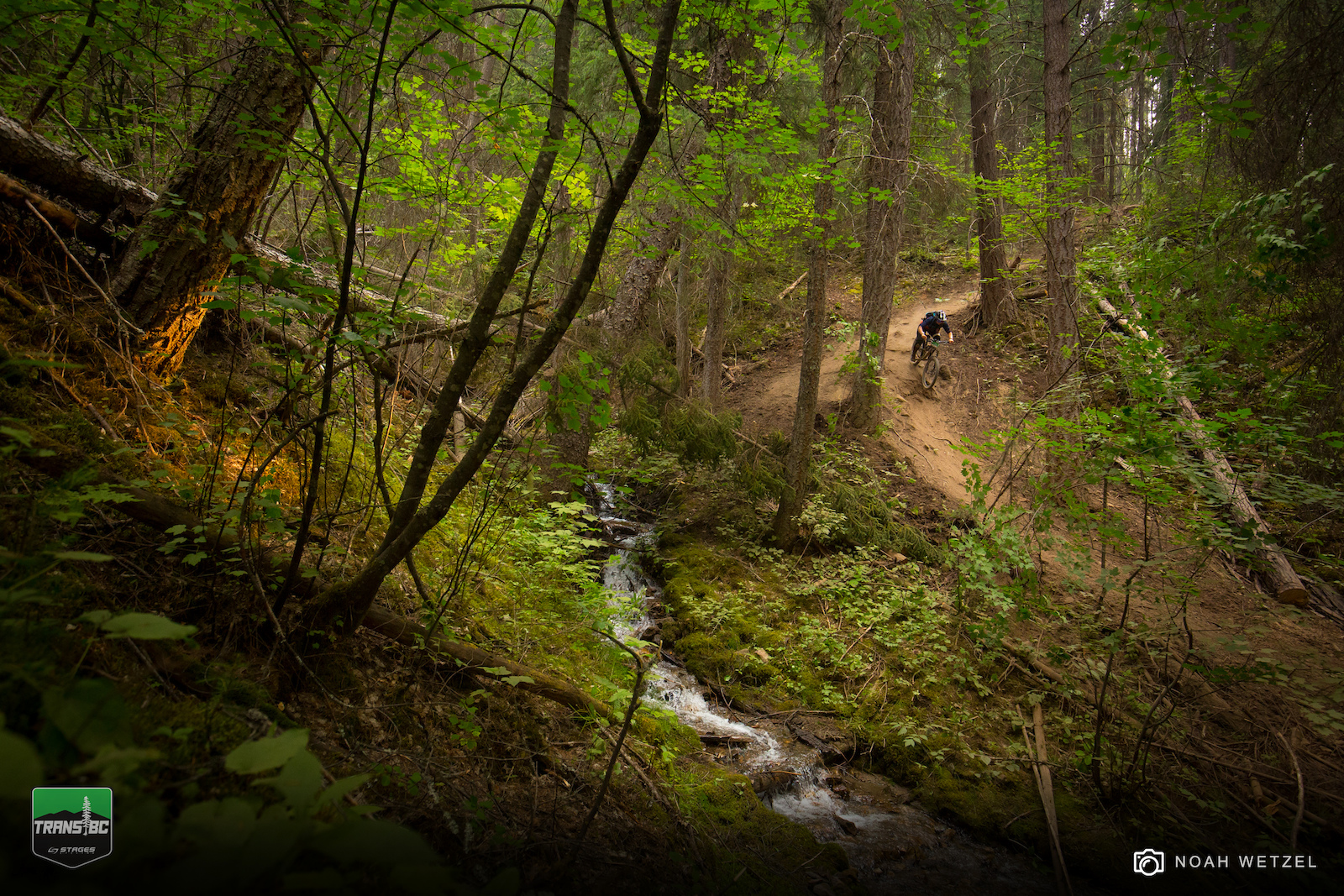 Stage 5 at Panorama Resort on Day 2 of the Trans B.C. Enduro.